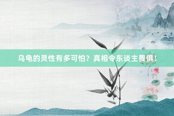 乌龟的灵性有多可怕？真相令东谈主畏俱！